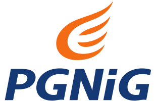 PGNiG logo - Akademia Wystąpień Publicznych